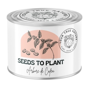 Zâmburi cu Grai | Kit de Grădinărit Urban „Seeds to Plant – Arbore de cafea” - Img 1