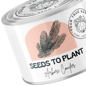Zâmburi cu Grai | Kit de Grădinărit Urban „Seeds to Plant – Arbore conifer” - Img 3