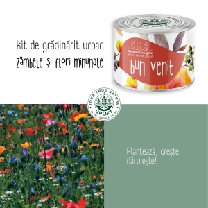 Kit de Grădinărit Urban - „Bun venit” | Zâmburi cu Grai - Img 5