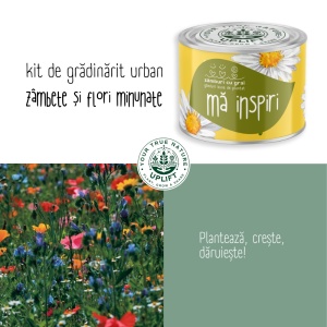 Kit de Grădinărit Urban - „Ma inspiri” | Zâmburi cu Grai - Img 5