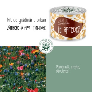 Kit de Grădinărit Urban - „Te apreciez” | Zâmburi cu Grai - Img 5