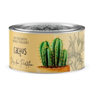 Kit Premium Micro Terariu cu semințe de Cactusi Mix | Uplift Elements - Img 1