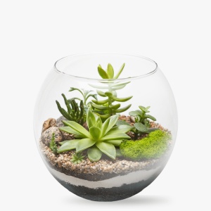 Vas de sticlă pentru terariu deschis, TerraDome, Ø10x7.6cm - Img 3