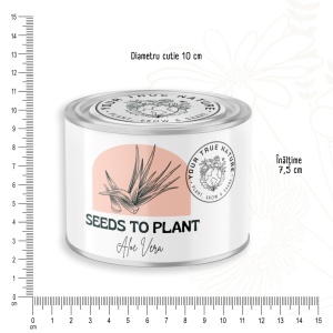 Zâmburi cu Grai | Kit de Grădinărit Urban „Seeds to Plant – Aloe Vera” - Img 6