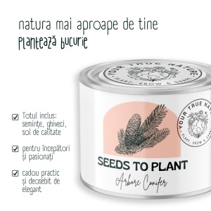 Zâmburi cu Grai | Kit de Grădinărit Urban „Seeds to Plant – Arbore conifer” - Img 4