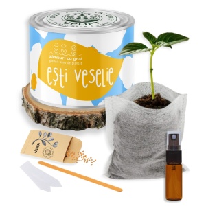 Kit de Grădinărit Urban - „Esti veselie” | Zâmburi cu Grai - Img 2