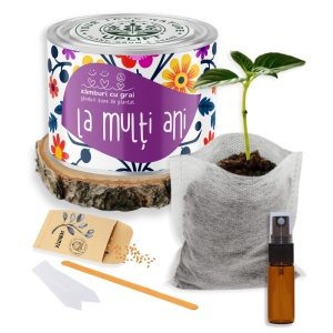 Kit de Grădinărit Urban - „La multi ani” | Zâmburi cu Grai - Img 2