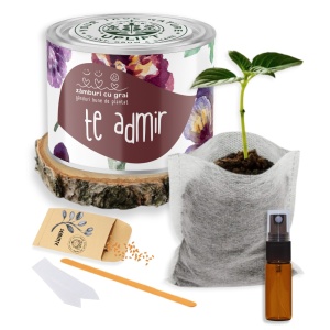 Kit de Grădinărit Urban - „Te admir” | Zâmburi cu Grai - Img 2