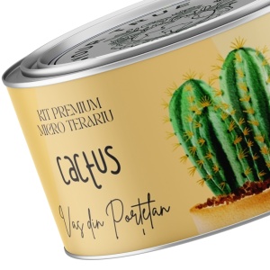 Kit Premium Micro Terariu cu semințe de Cactusi Mix | Uplift Elements - Img 2