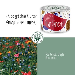 Kit de Grădinărit Urban - „Indrazneste” | Zâmburi cu Grai - Img 5