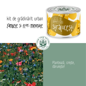 Kit de Grădinărit Urban - „Stralucesti” | Zâmburi cu Grai - Img 5