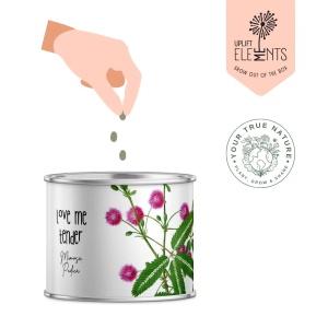 Zâmburi cu Grai | Kit de Grădinărit Urban „Love me tender”, Mimosa Pudica - Img 6