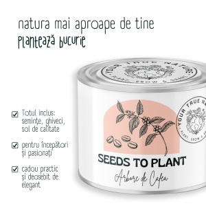 Zâmburi cu Grai | Kit de Grădinărit Urban „Seeds to Plant – Arbore de cafea” - Img 4