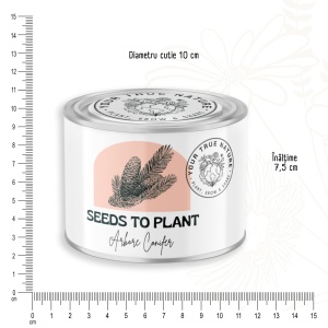 Zâmburi cu Grai | Kit de Grădinărit Urban „Seeds to Plant – Arbore conifer” - Img 6