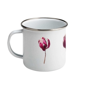 Zâmburi cu Grai, Tulips, Cana Emailata - Img 1
