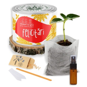 Kit de Grădinărit Urban - „Felicitari” | Zâmburi cu Grai - Img 2