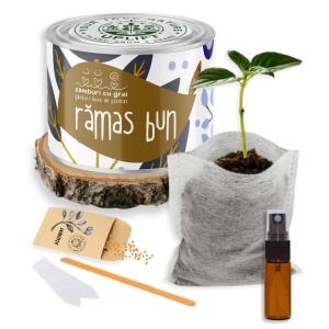 Kit de Grădinărit Urban - „Ramas bun” | Zâmburi cu Grai - Img 2