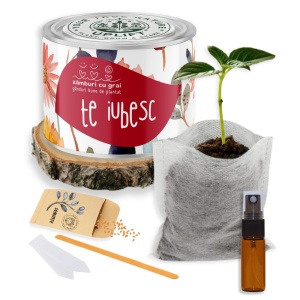 Kit de Grădinărit Urban - „Te iubesc” | Zâmburi cu Grai - Img 2