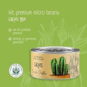 Kit Premium Micro Terariu cu semințe de Cactusi Mix | Uplift Elements - Img 4