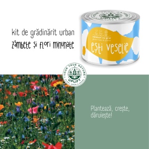 Kit de Grădinărit Urban - „Esti veselie” | Zâmburi cu Grai - Img 5