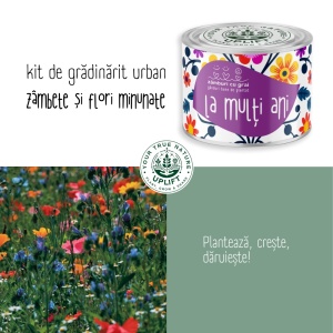 Kit de Grădinărit Urban - „La multi ani” | Zâmburi cu Grai - Img 5
