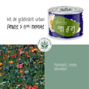 Kit de Grădinărit Urban - „Om drag” | Zâmburi cu Grai - Img 5