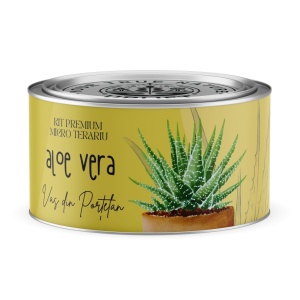 Kit Premium Micro Terariu cu semințe de Aloe Vera | Uplift Elements - Img 1