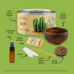 Kit Premium Micro Terariu cu semințe de Cactusi Mix | Uplift Elements - Img 5