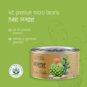 Kit Premium Micro Terariu cu semințe de Plante Suculente | Uplift Elements - Img 3