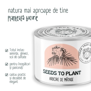 Zâmburi cu Grai | Kit de Grădinărit Urban „Seeds to Plant – Arbore de matase” - Img 4