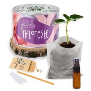 Kit de Grădinărit Urban - „Infloreste” | Zâmburi cu Grai - Img 2