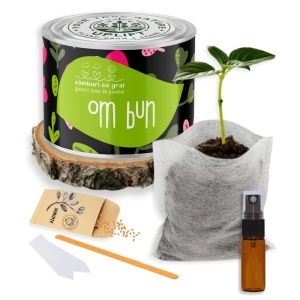 Kit de Grădinărit Urban - „Om bun” | Zâmburi cu Grai - Img 2