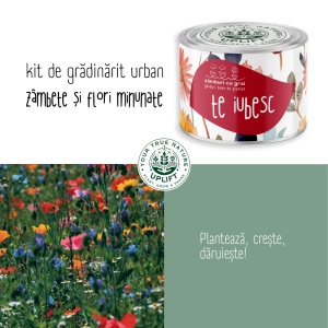 Kit de Grădinărit Urban - „Te iubesc” | Zâmburi cu Grai - Img 4