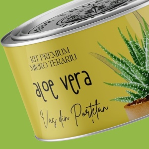 Kit Premium Micro Terariu cu semințe de Aloe Vera | Uplift Elements - Img 2