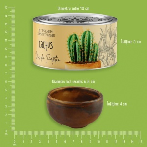 Kit Premium Micro Terariu cu semințe de Cactusi Mix | Uplift Elements - Img 6