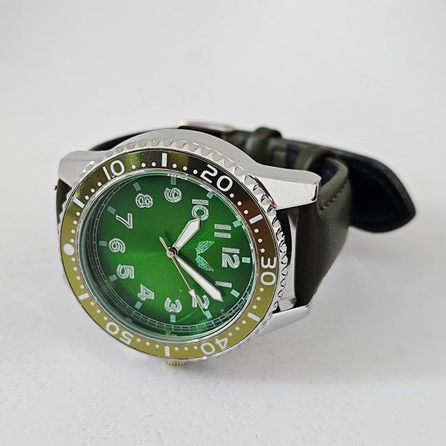 Ceas barbatesc Ulysses ALPHA, cu quartz si cadran din otel inoxidabil, in cutie eleganta, Verde - 2 | YEO