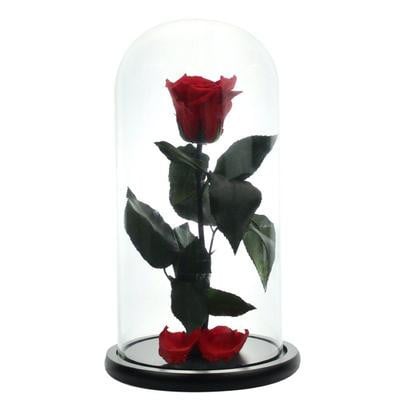 Trandafir Criogenat in cupola de sticla cu blat negru, pe pat de petale