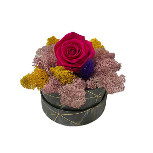 Aranjament Floral, cutie cu trandafir criogenat pe pat de licheni naturali stabilizati 4