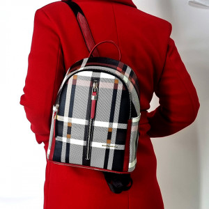Geanta tip rucsac Silver&Polo, cu patru compartimente si curele spate reglabile, Multicolor3