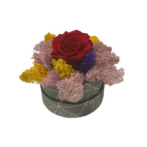 Aranjament Floral, cutie cu trandafir criogenat pe pat de licheni naturali stabilizati 6