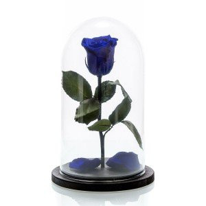Trandafir Criogenat in cupola de sticla cu blat negru, pe pat de petale 3