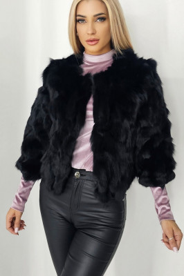 blana de vulpe neagra