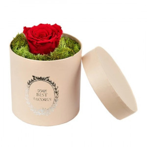 Trandafir criogenat, decorat in cutie cu licheni naturali stabilizati 3