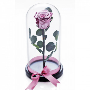 Trandafir Criogenat in cupola de sticla cu blat negru, pe pat de petale 5