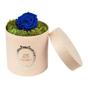 Trandafir criogenat, decorat in cutie cu licheni naturali stabilizati 4
