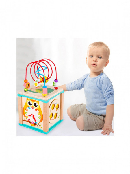 Cub multifunctional 5 in 1, cu labirint de bile - Bufnita