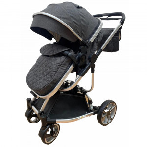 carucior 2 in 1 troller