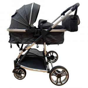 carucior 2 in 1 troller