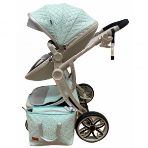 carucior 2 in 1 landou anatomic