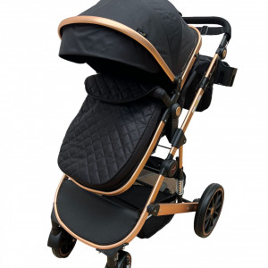 carucior 2 in 1 reversibil